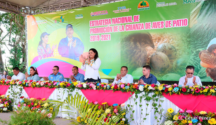 produccion-aves-nicaragua